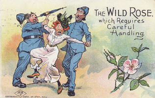Suffragette City - The Wild Rose Which Requires Careful Handling